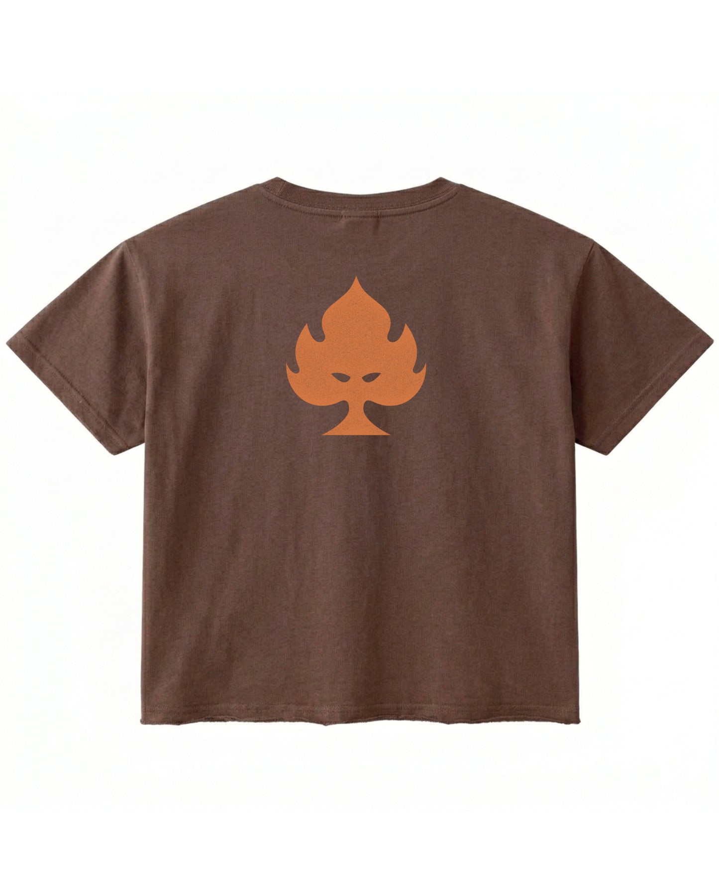 Brown Boxy Fit T-shirt Back Design