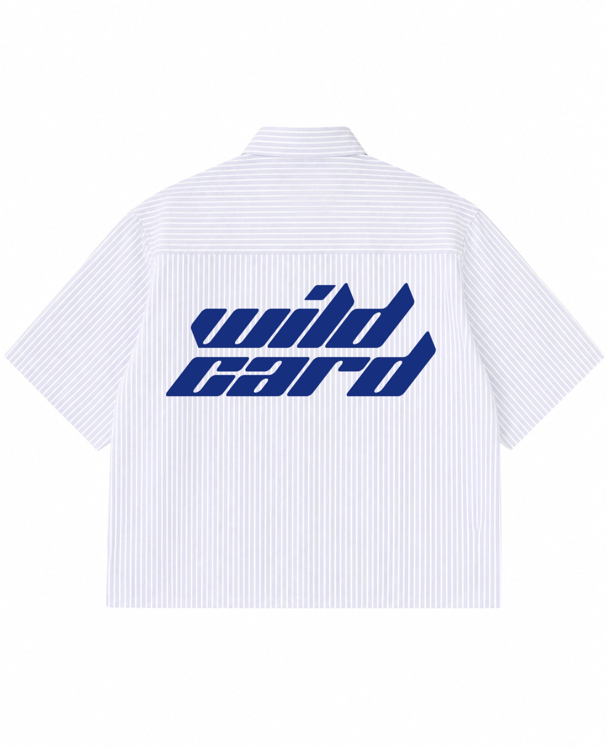 Blue Striped Oxford Boxy Shirt Back Design